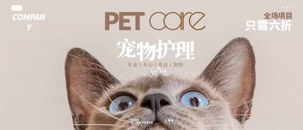 宠物美容
